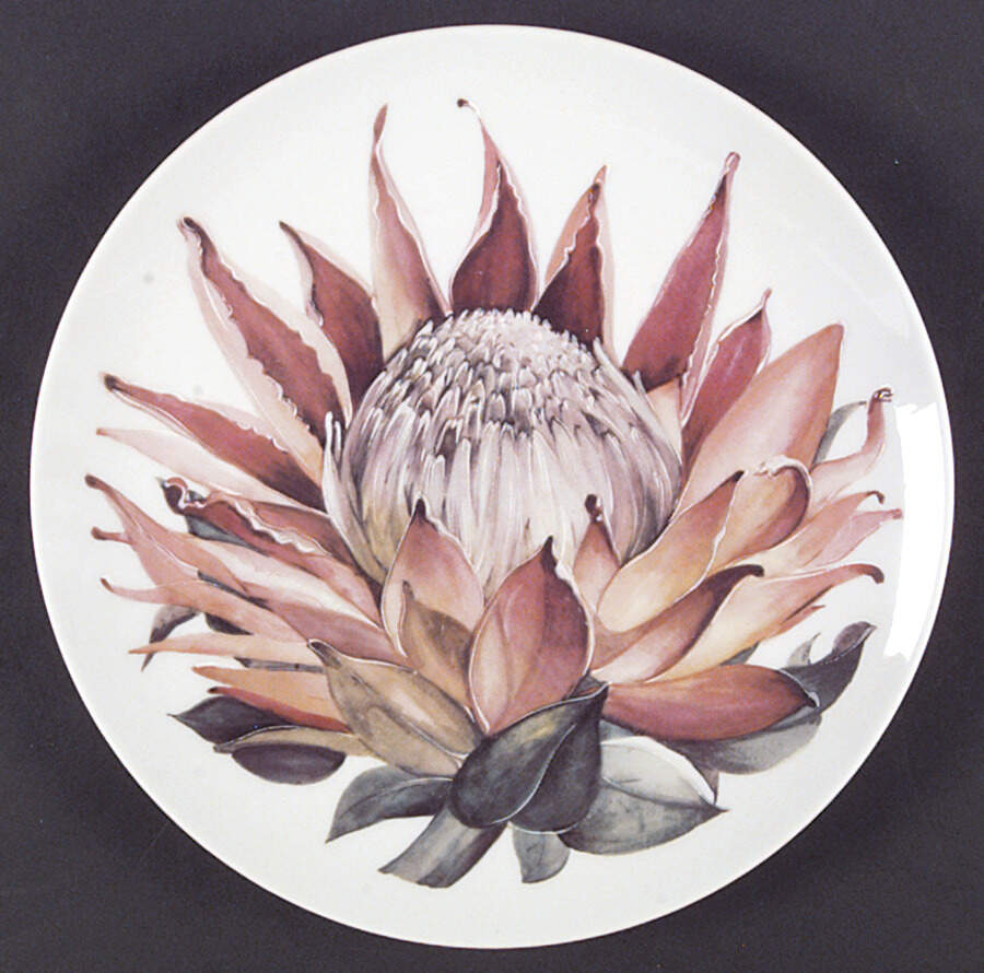 MOT3 Dinner Plate by Mottahedeh-1