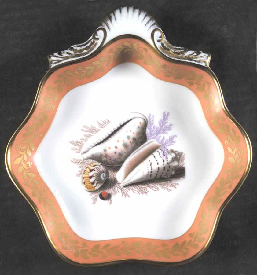 Natchez Shell Large Shell Shaped Dish by Mottahedeh-1