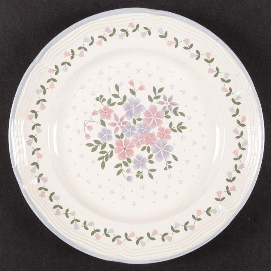 Floral Fantasy Dinner Plate by Mount Clemens-1