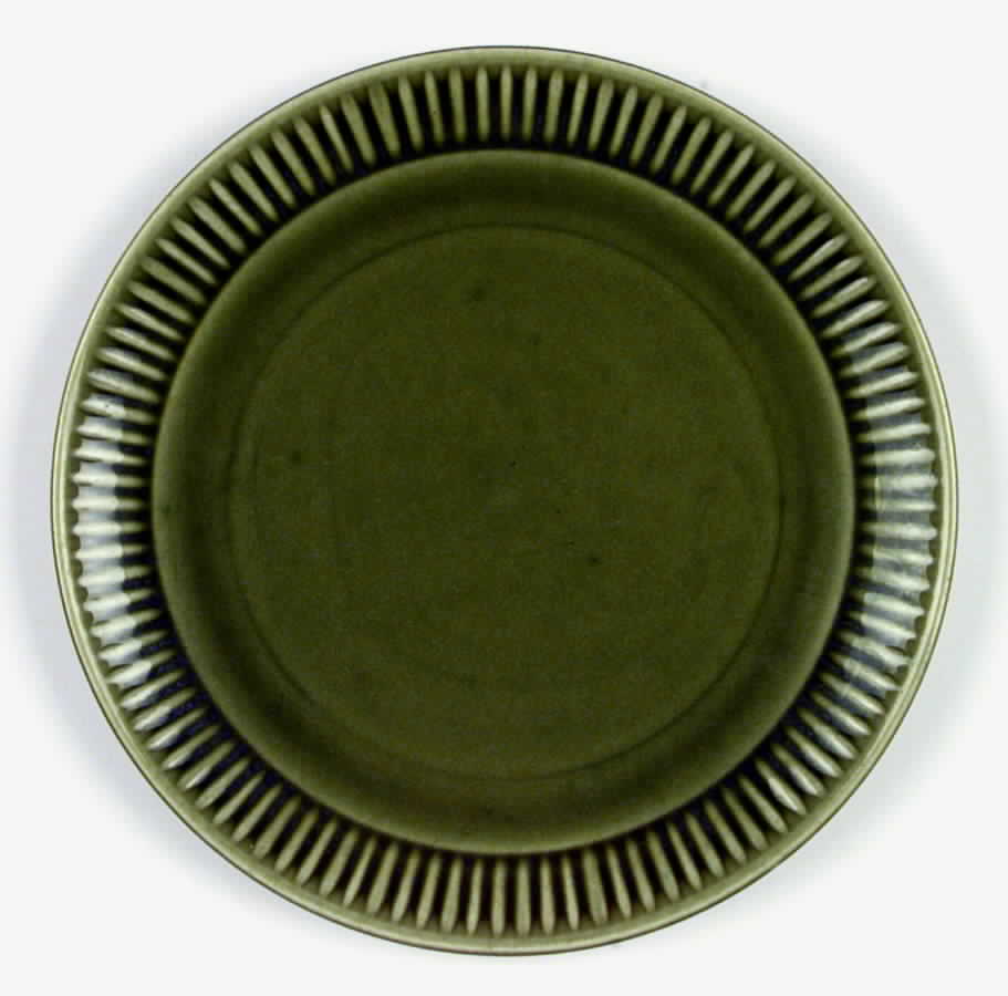 MTC11 Dinner Plate by Mount Clemens-1