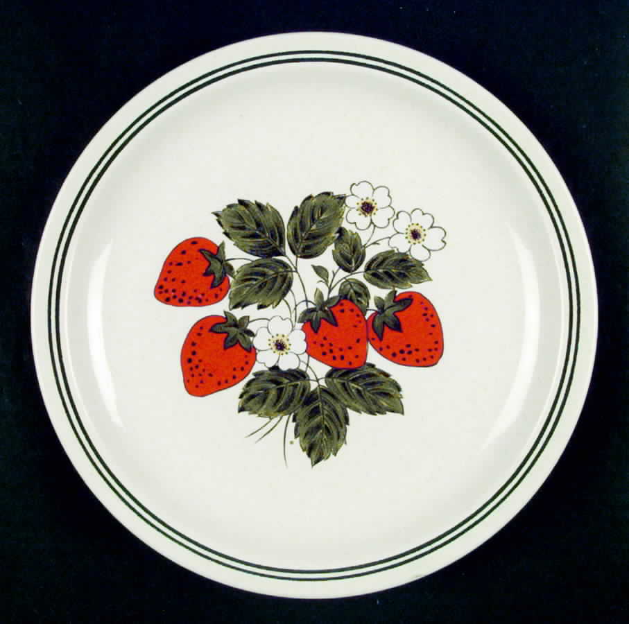 MTC13 Dinner Plate by Mount Clemens-1