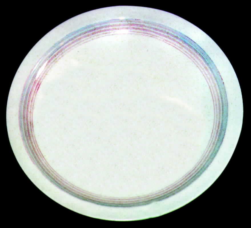 MTC17 Dinner Plate by Mount Clemens-1