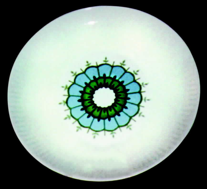 MTC20 Dinner Plate by Mount Clemens-1