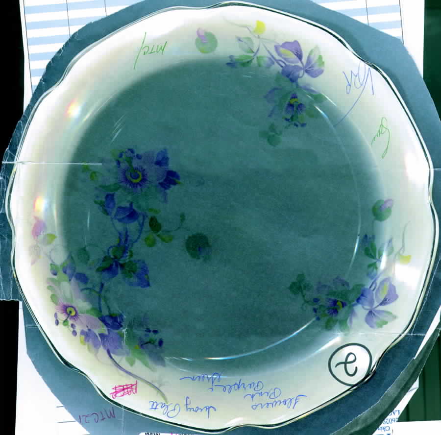 MTC21 Dinner Plate by Mount Clemens-1