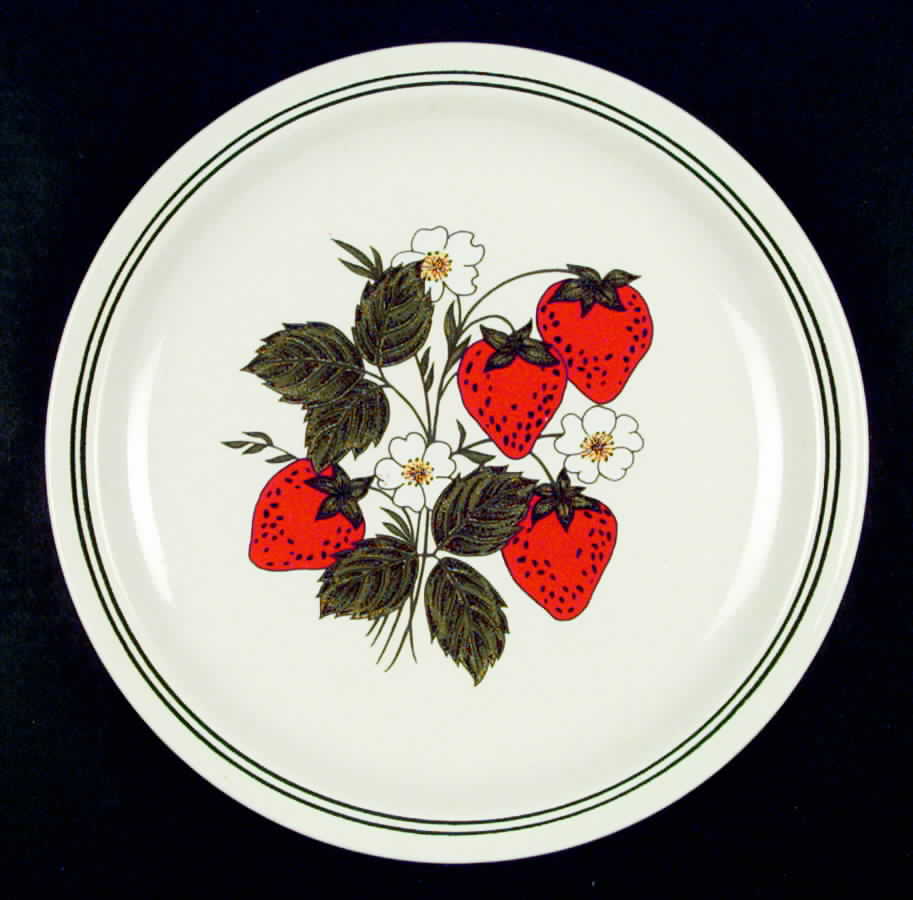 MTC26 Dinner Plate by Mount Clemens-1