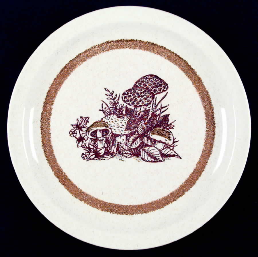 MTC27 Dinner Plate by Mount Clemens-1