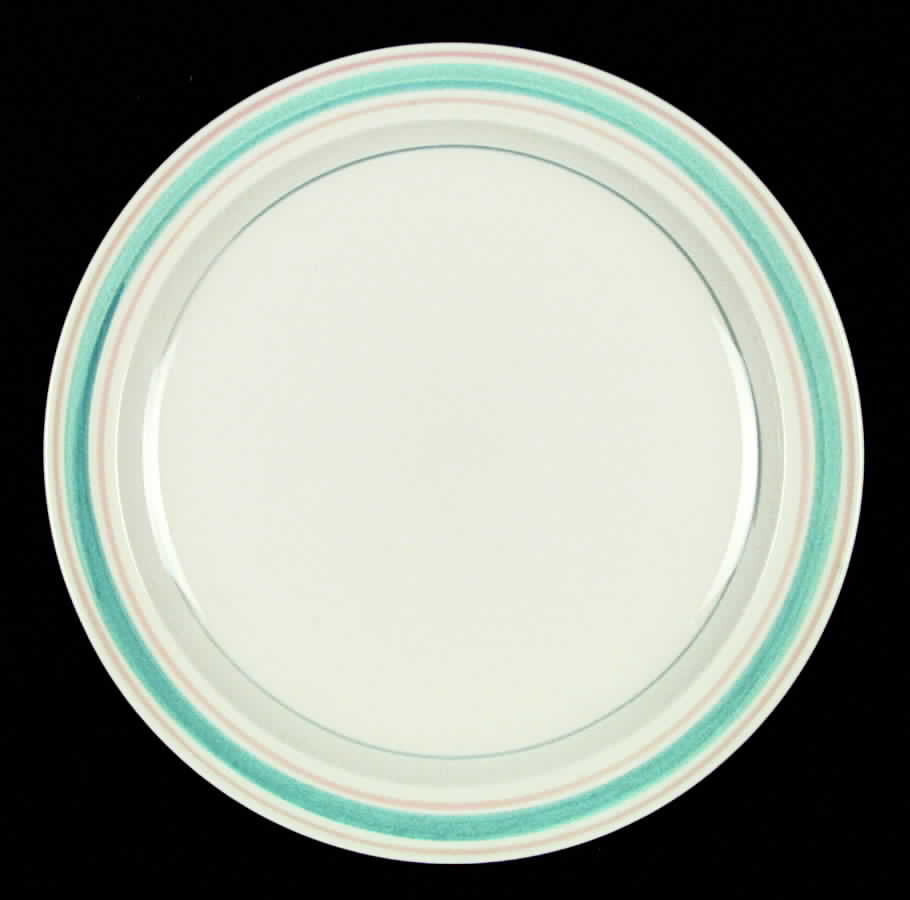 MTC29 Dinner Plate by Mount Clemens-1