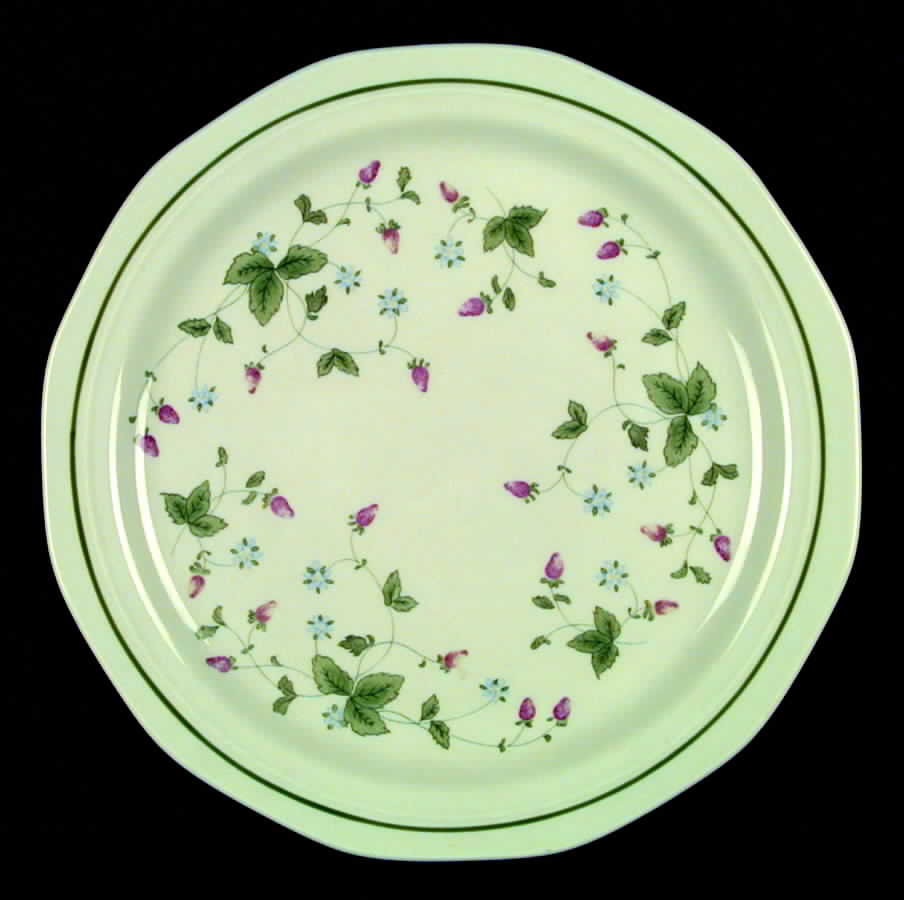 Wild Berry Dinner Plate by Mount Clemens-1