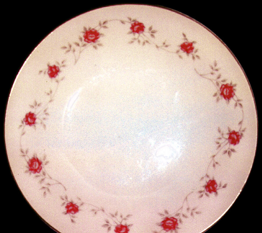 Tammy Dinner Plate by Mt Hira-1