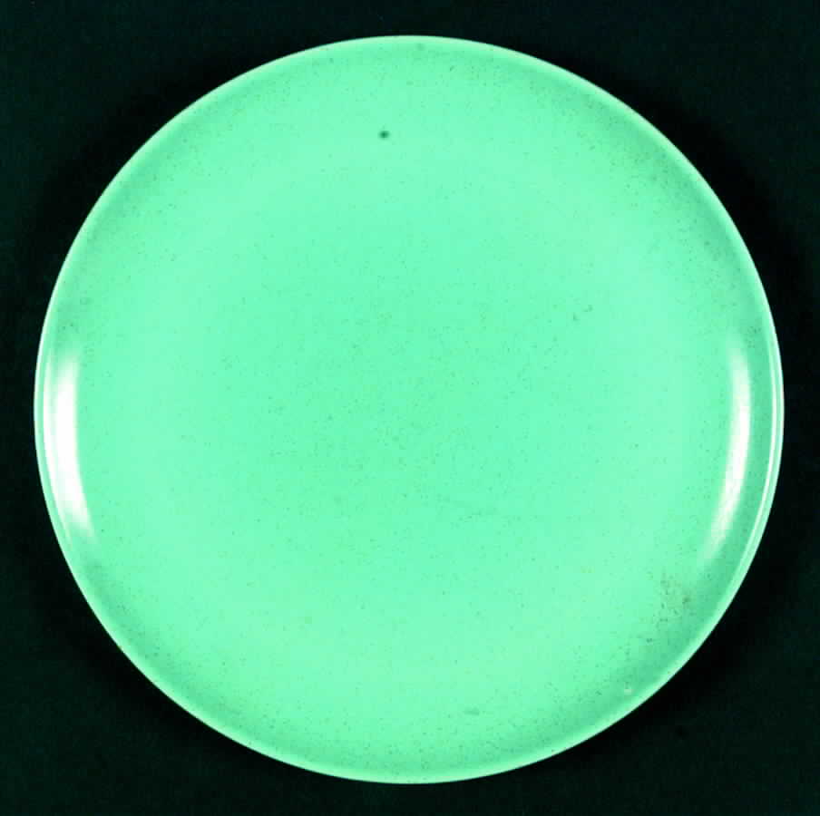 MTR1 Dinner Plate by Monterey-1