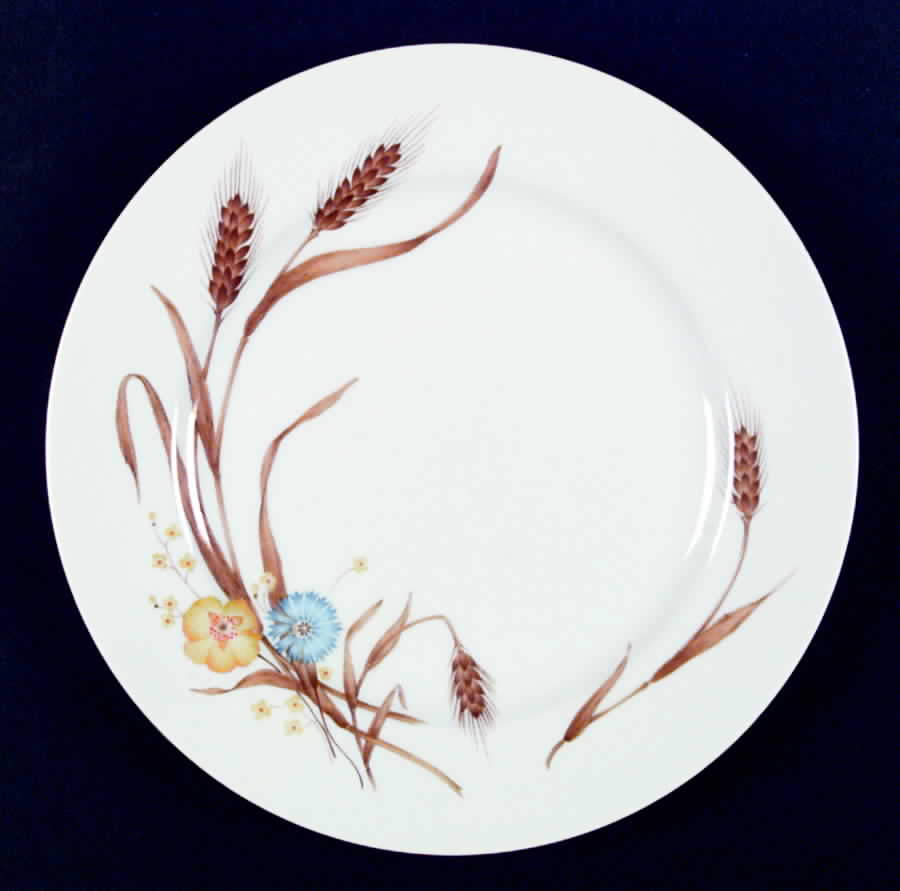 Autumn Dinner Plate by Montgomery Ward-1