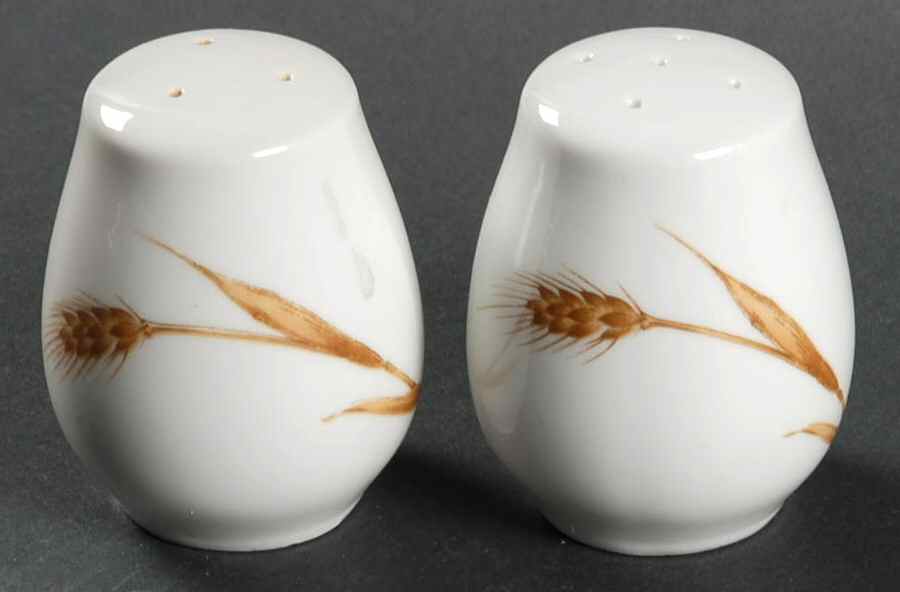 Autumn Salt & Pepper Set by Montgomery Ward-1