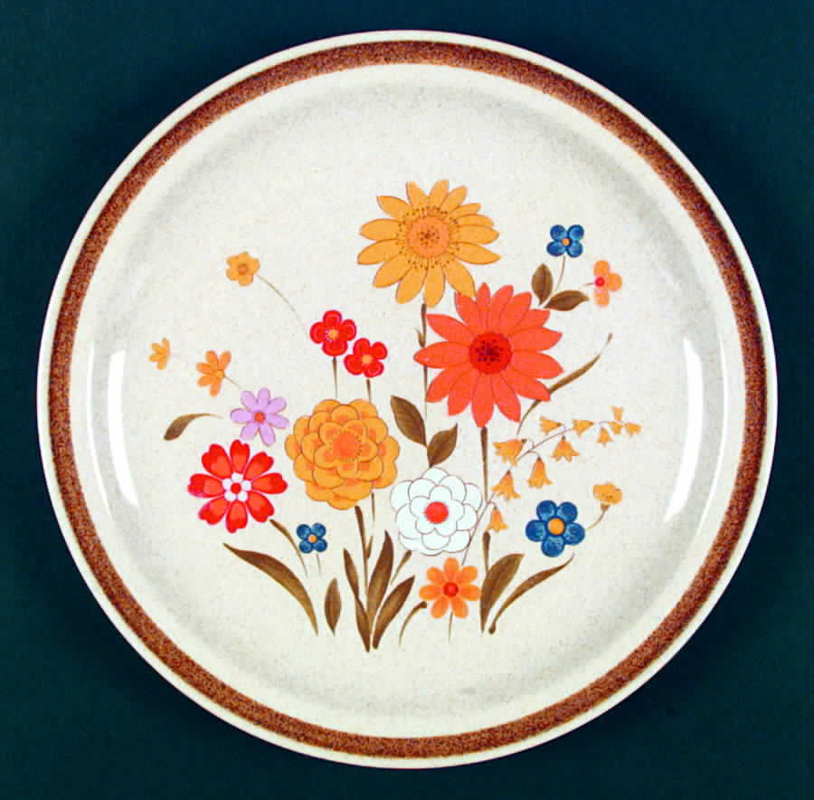 Fiesta Dinner Plate by Montgomery Ward-1