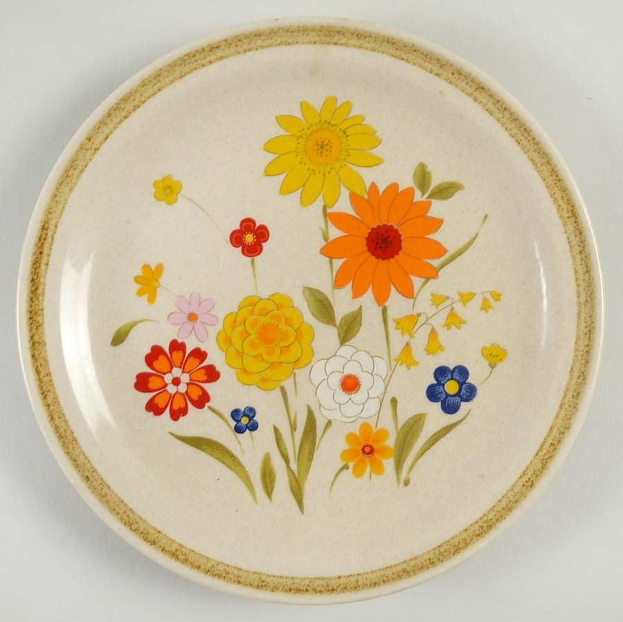 Fiesta Salad Plate by Montgomery Ward-1