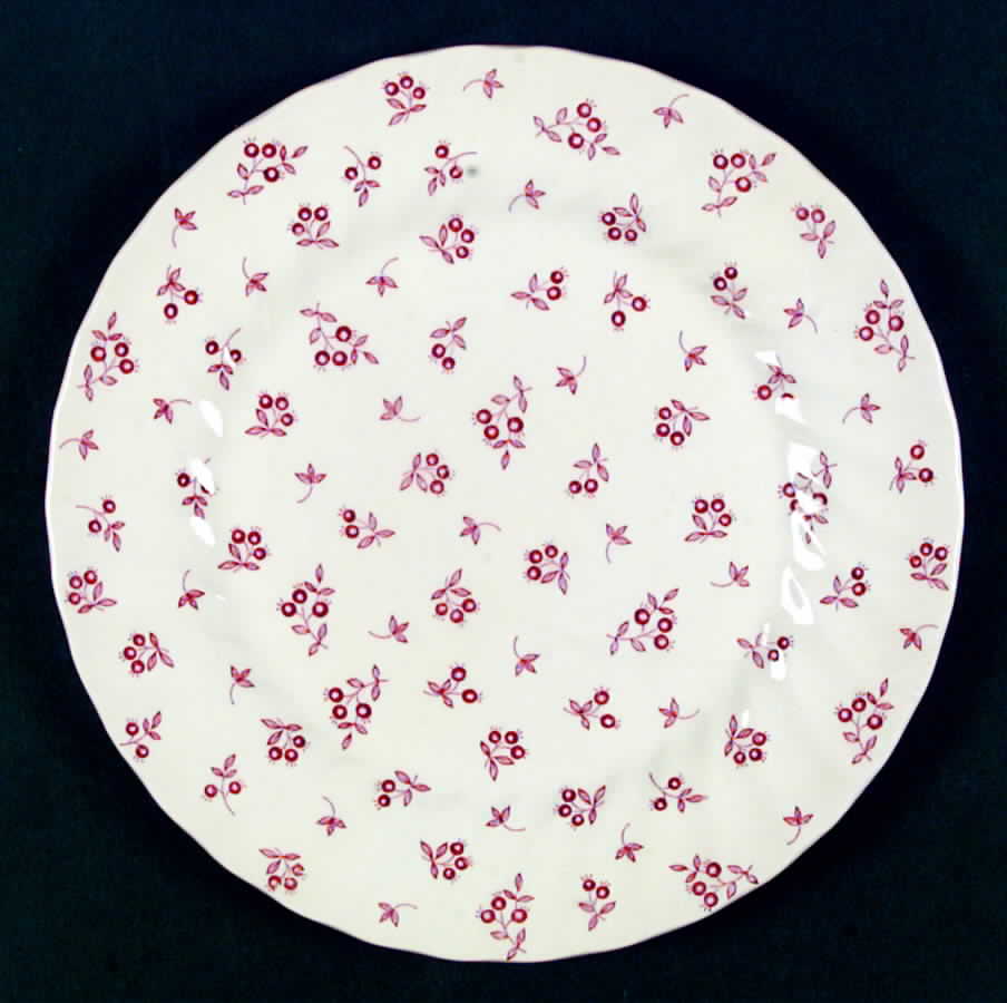 Autumn Berries Dinner Plate by Myott Staffordshire-1