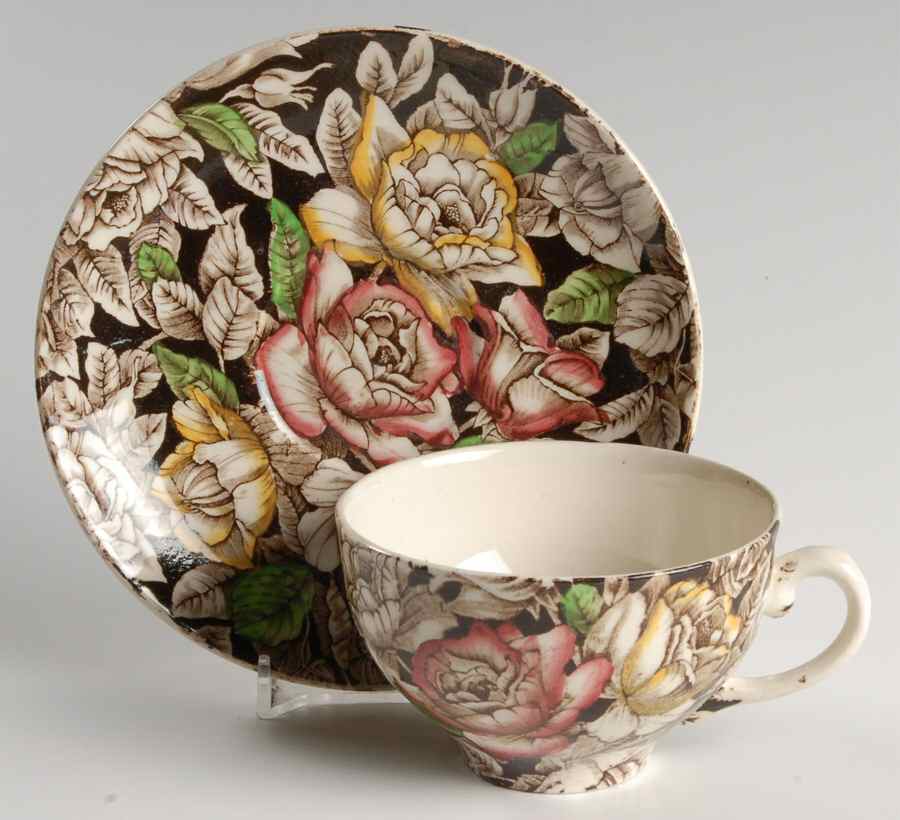 Bermuda Brown Multicolor Flat Cup & Saucer Set by Myott Staffordshire-1