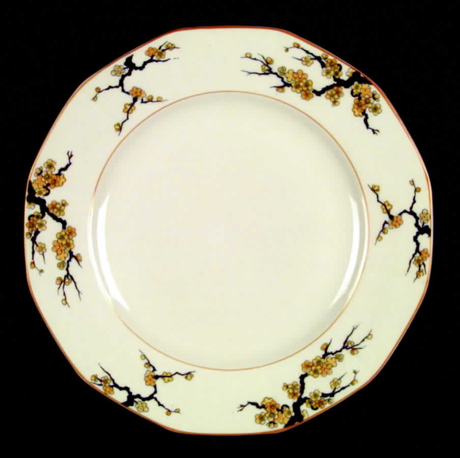Blossom Dinner Plate by Myott Staffordshire-1