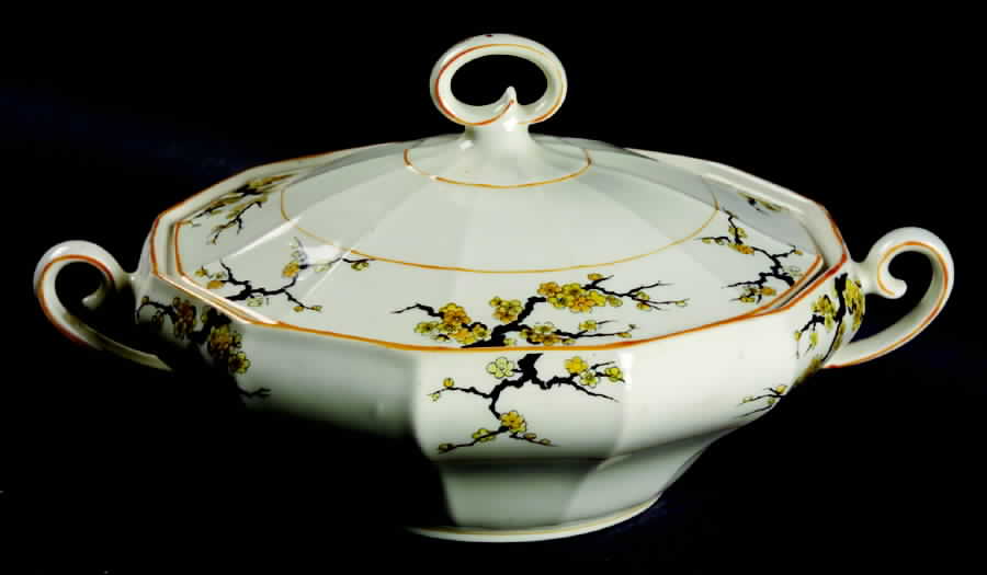 Blossom Round Covered Vegetable by Myott Staffordshire-1