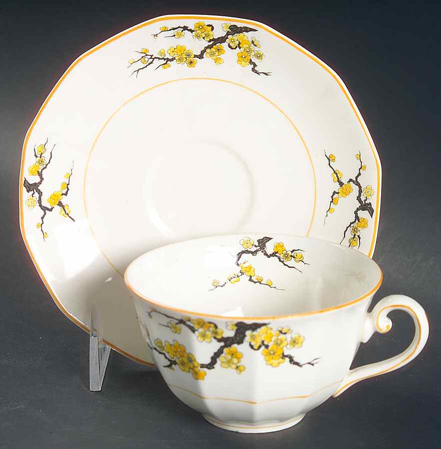 Blossom Flat Cup & Saucer Set by Myott Staffordshire-1