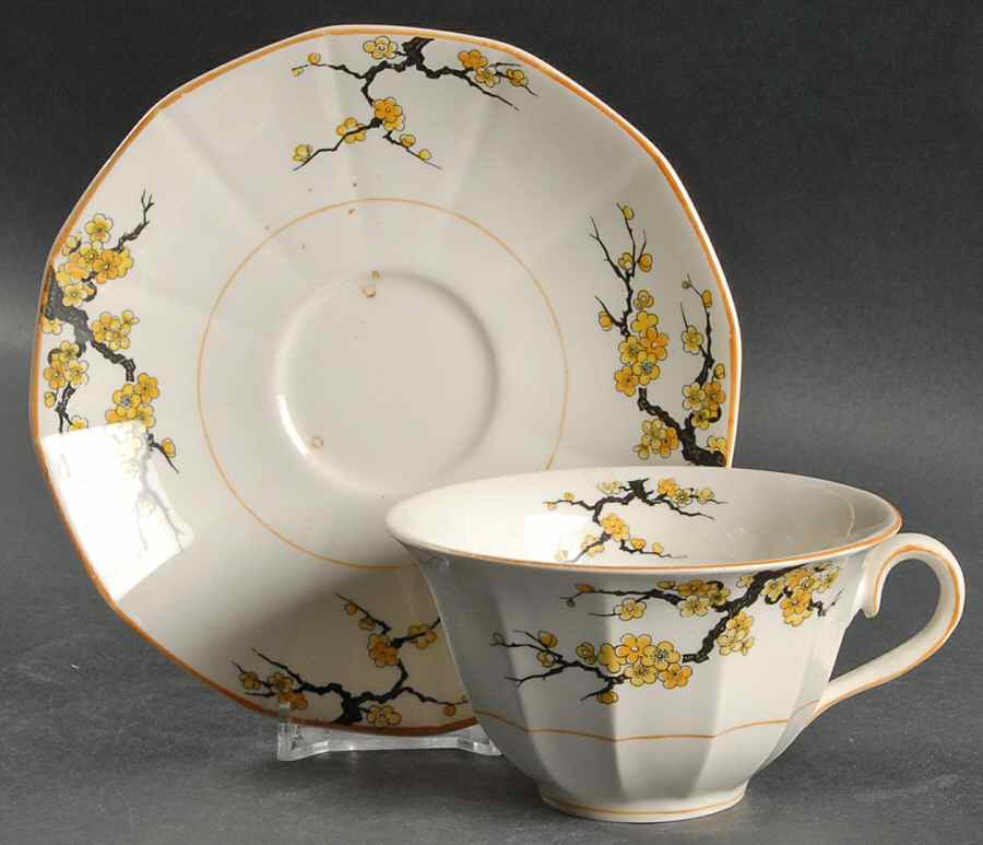 Blossom Oversized Cup & Saucer Set by Myott Staffordshire-1