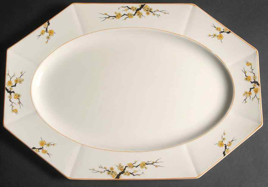 Blossom 16" Oval Serving Platter by Myott Staffordshire-1