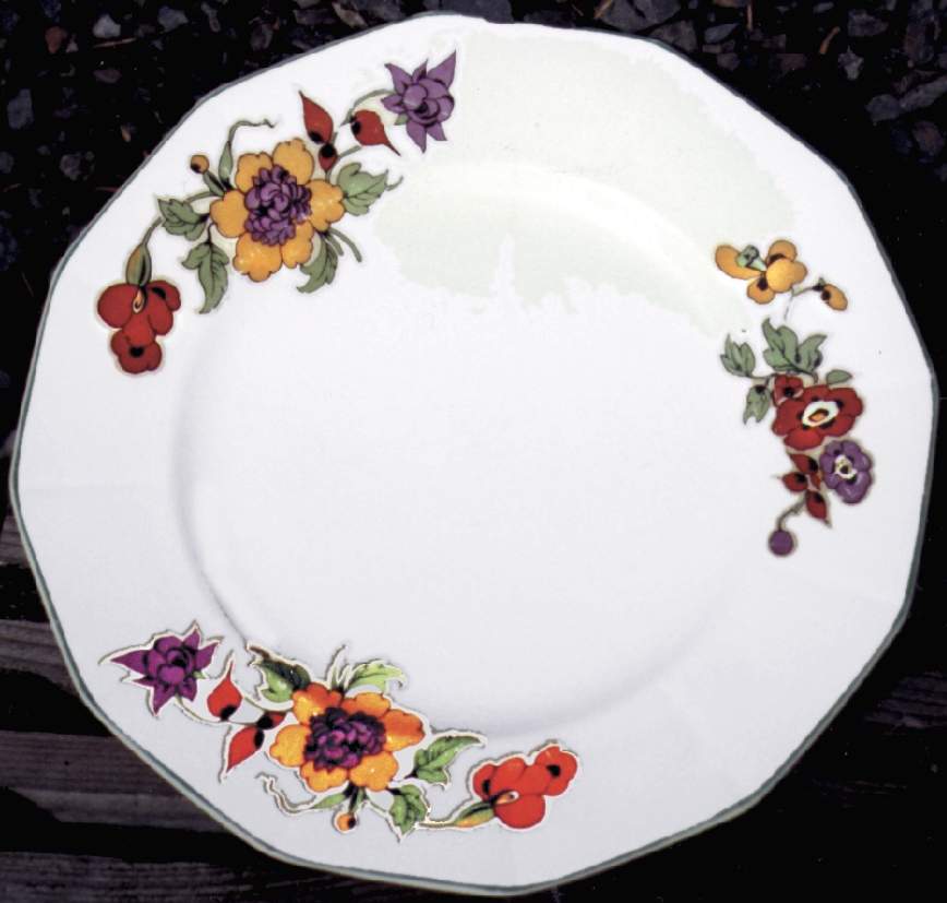 California Dinner Plate by Myott Staffordshire-1