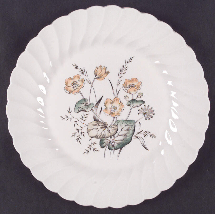 Chatsworth Dinner Plate by Myott Staffordshire-1