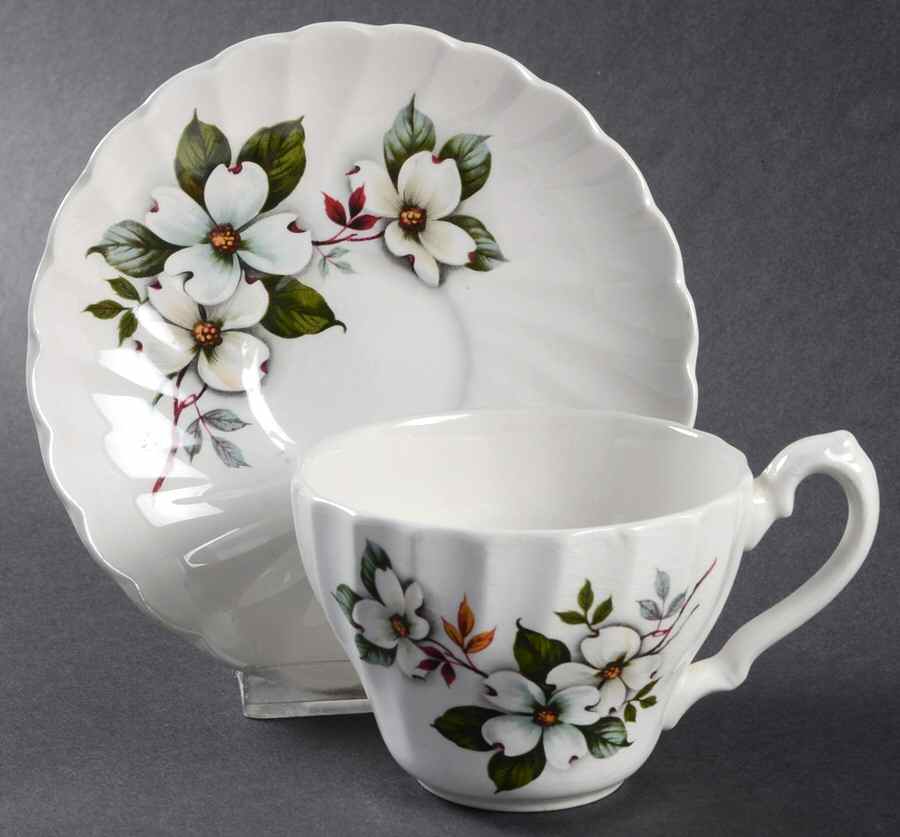 Dogwood Flat Cup & Saucer Set by Myott Staffordshire-1