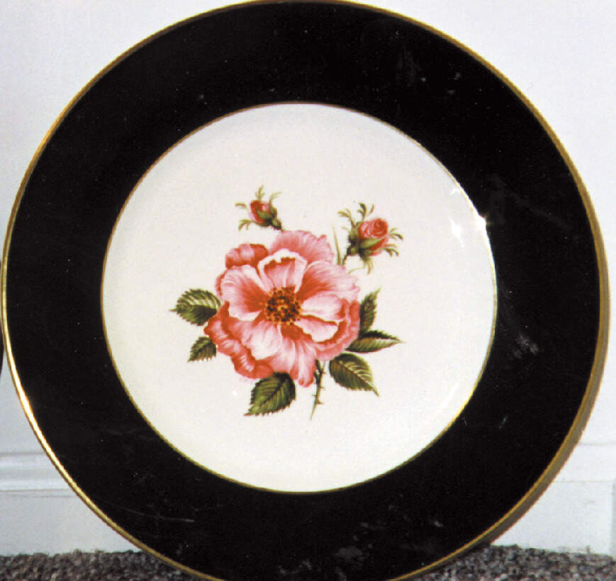 English Rose Green Dinner Plate by Myott Staffordshire-1