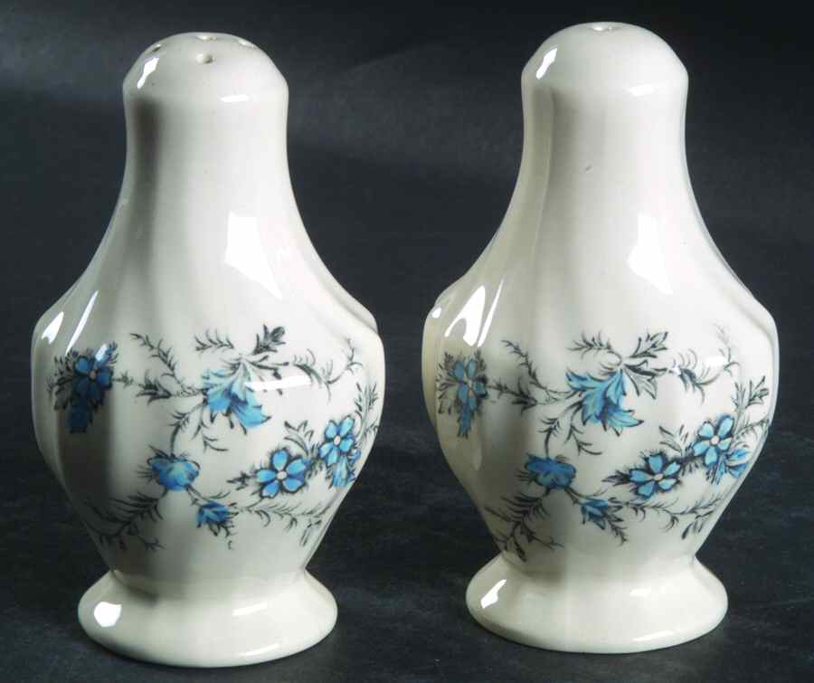 Forget Me Not Salt & Pepper Set by Myott Staffordshire-1
