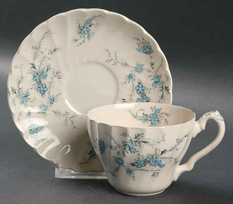 Forget Me Not Flat Cup & Saucer Set by Myott Staffordshire-1