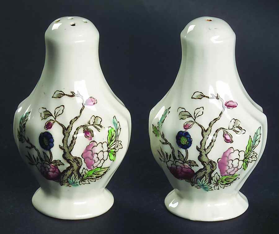 Indian Tree (No #, No Green Border, Cream) Salt & Pepper Set by Myott Staffordshire-1