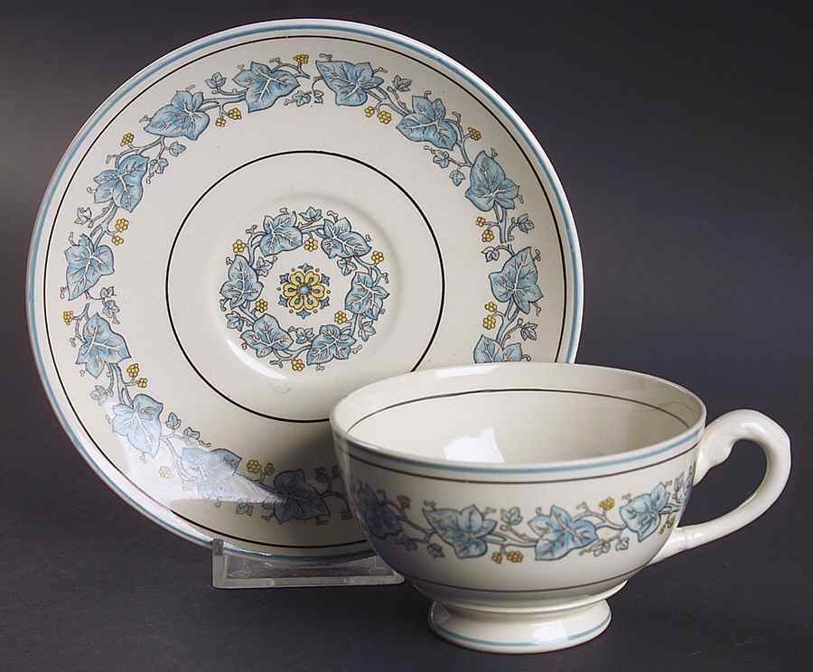 Ivy Leaf Blue Footed Cup & Saucer Set by Myott Staffordshire-1
