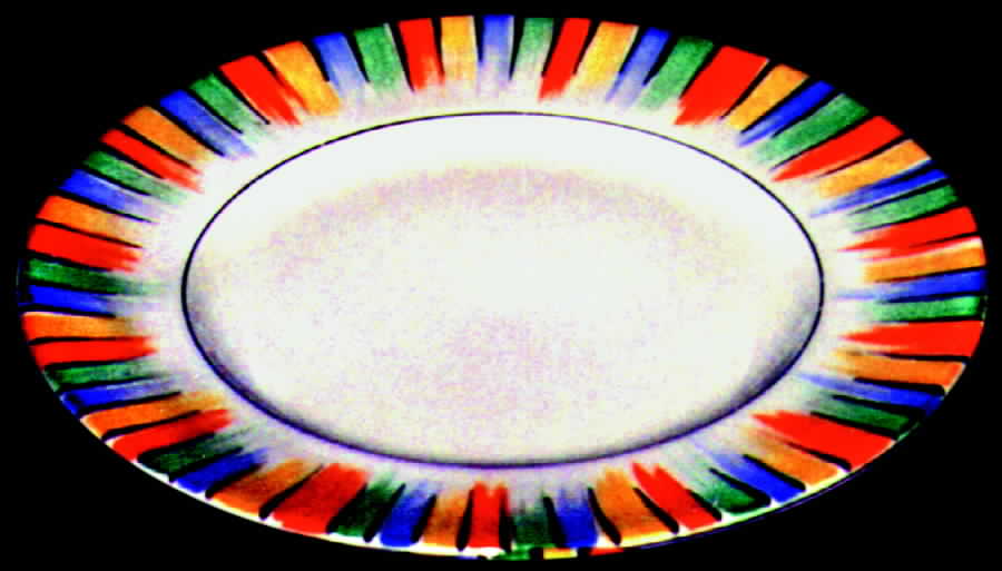 MYO25 Dinner Plate by Myott Staffordshire-1