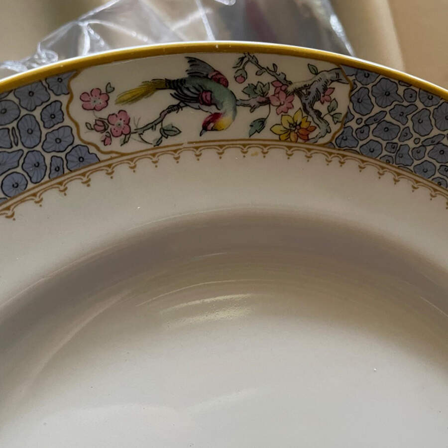 Royal Bird Dinner Plate by Myott Staffordshire-1