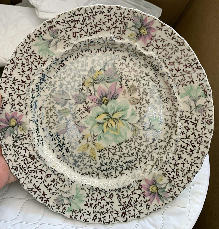 MIT56 Dinner Plate by Mitterteich-1