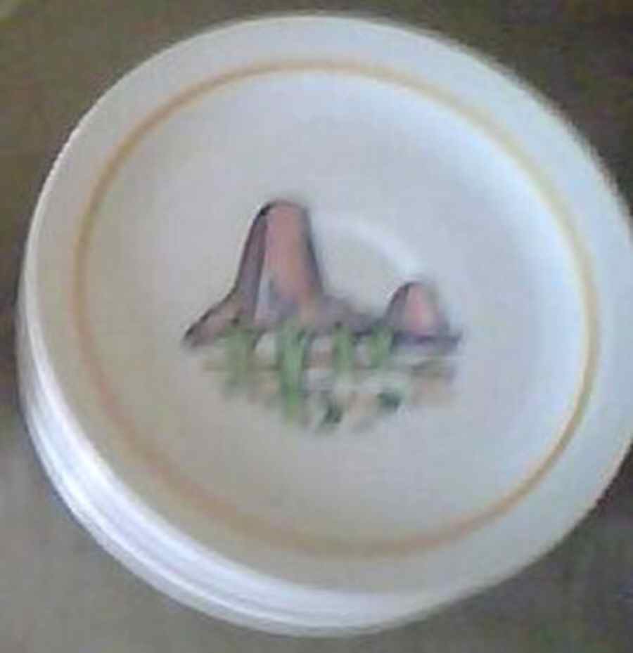 Native American Series Saucer for Footed Cup by Metlox - Poppytrail - Vernon-1