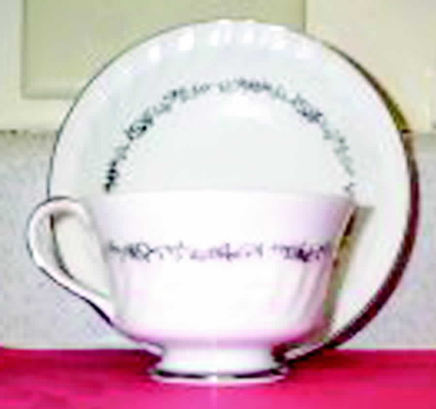 Provence Footed Cup & Saucer Set by Meito-1