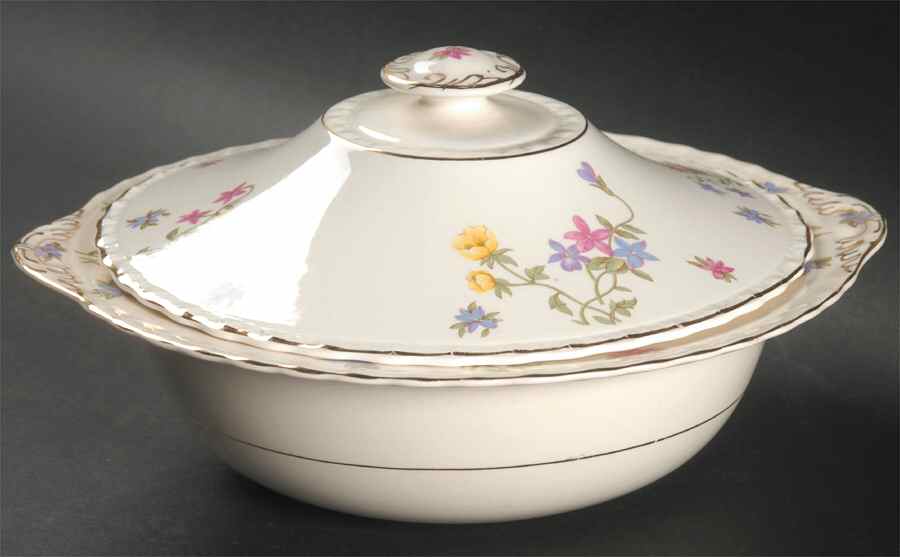 Trouville Round Covered Vegetable by Myott Staffordshire-1