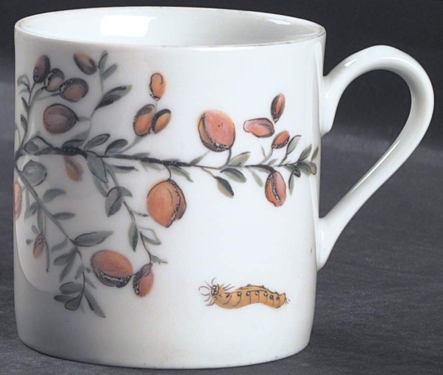 The Exotic Plant Flat Cup by Mottahedeh-1