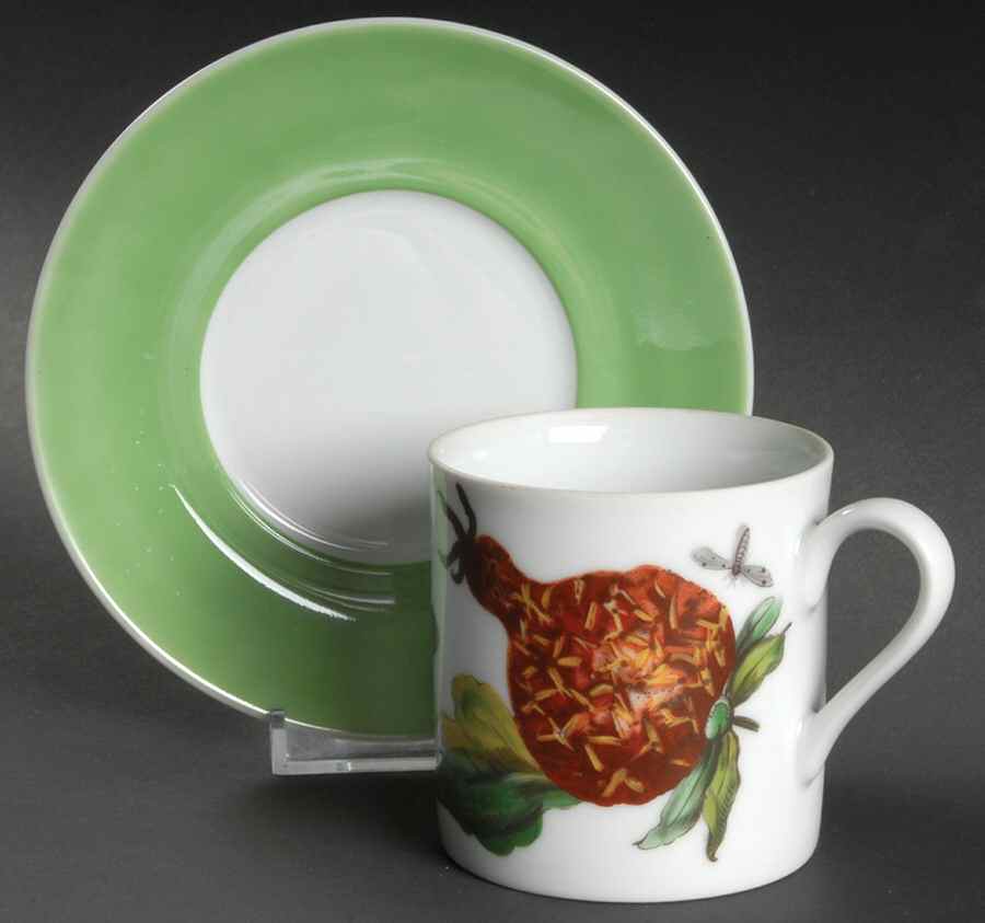 The Exotic Plant Flat Cup & Saucer Set by Mottahedeh-1