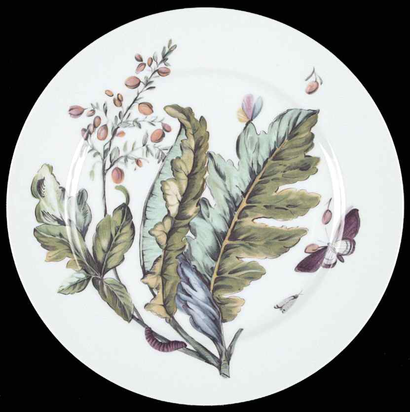 The Exotic Plant Dinner Plate by Mottahedeh-1