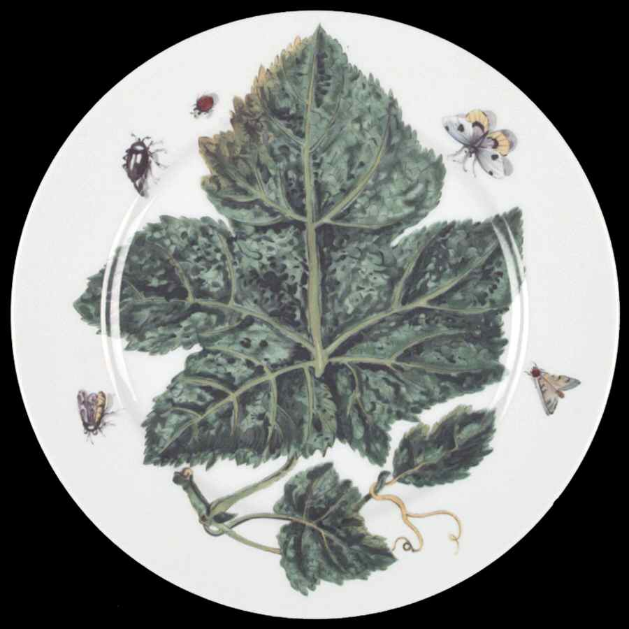 The Exotic Plant Dinner Plate by Mottahedeh-1