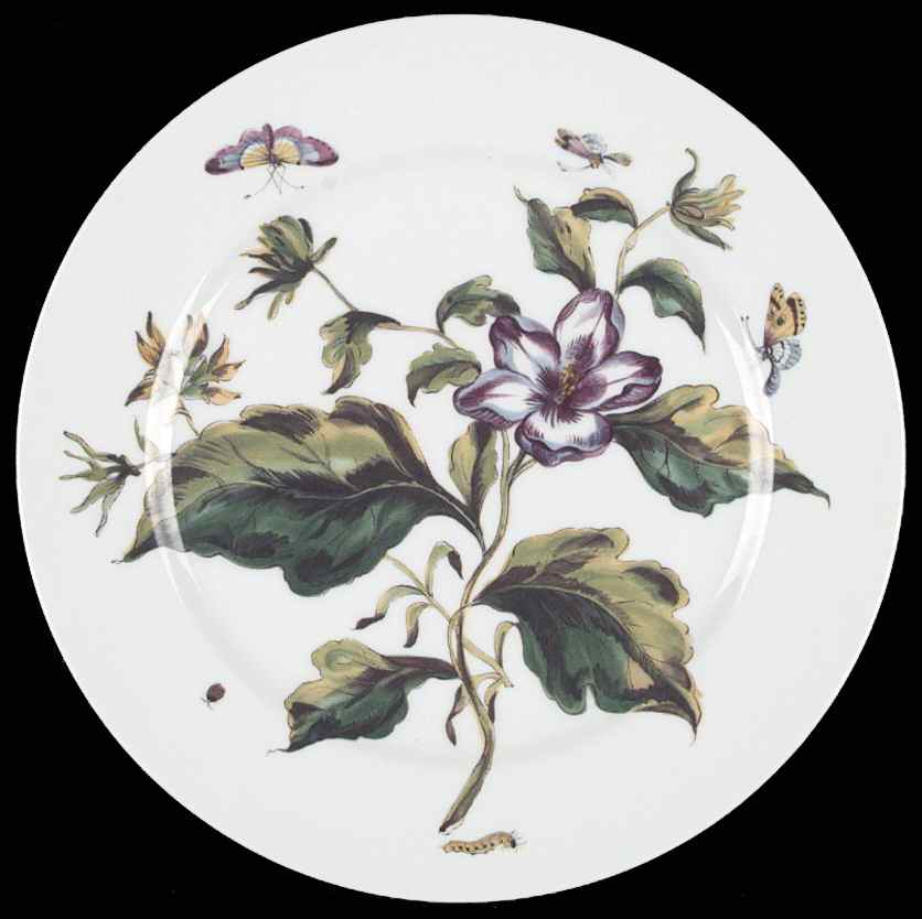 The Exotic Plant Dinner Plate by Mottahedeh-1