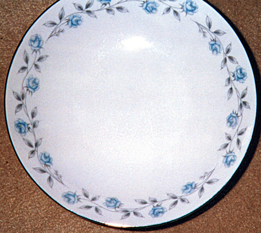 MTH2 Dinner Plate by Mt Hira-1