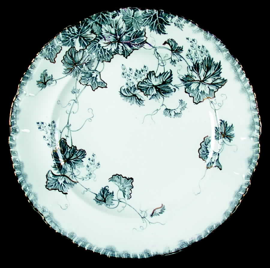 Virginia  Dinner Plate by John Maddock & Sons-1
