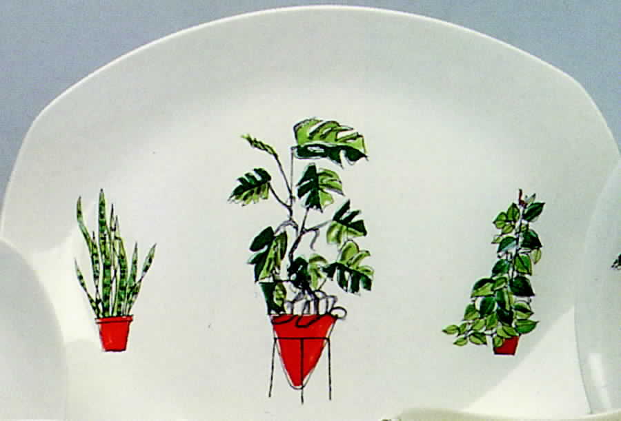 Plant Life 14" Oval Serving Platter by W R Midwinter Ltd-1