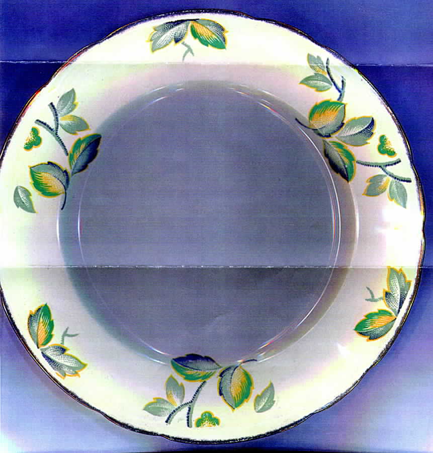 MEA47 Dinner Plate by Alfred Meakin-1