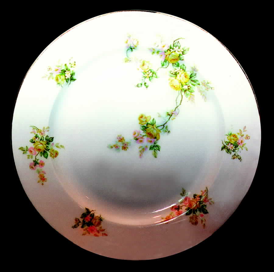 MUE53 Dinner Plate by Paul Muller-1
