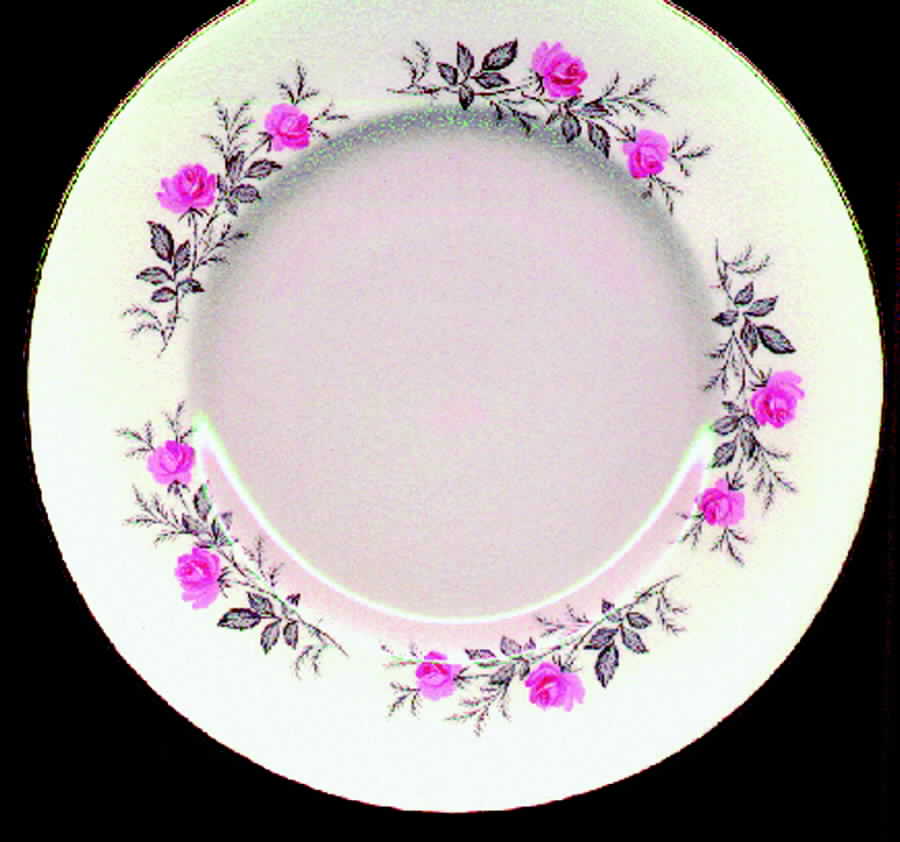 MYO33 Dinner Plate by Myott Staffordshire-1